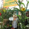 GALERIA SOŁECTWA » GALERIA SOŁECTWA » doynki_gminne_2011_7